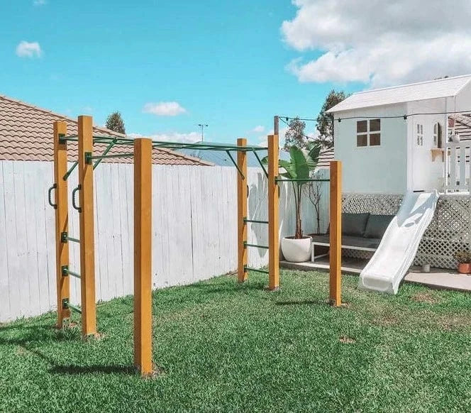 Monkey Bars Set