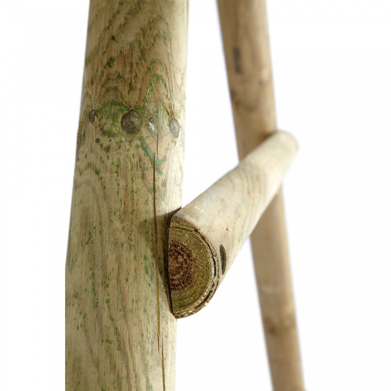 Plum® Meerkat Wooden Swing Set