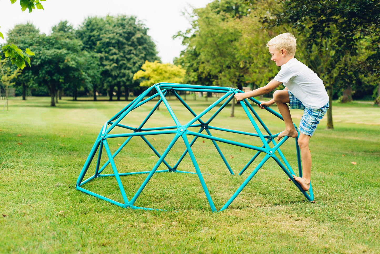 Plum Deimos Metal Climbing Dome – Teal