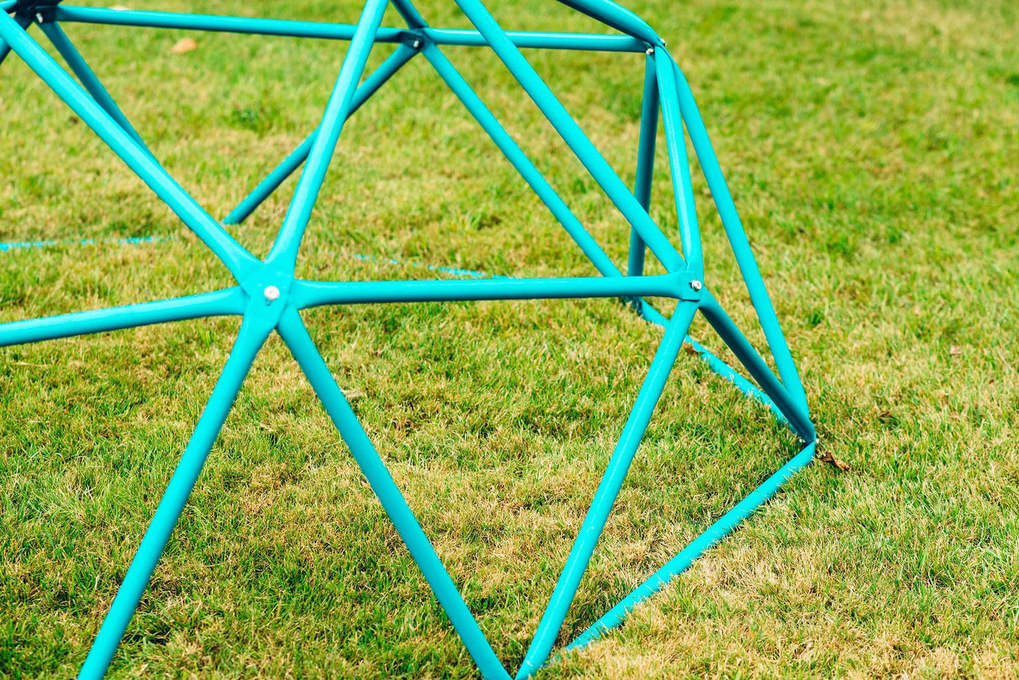 Plum Deimos Metal Climbing Dome – Teal