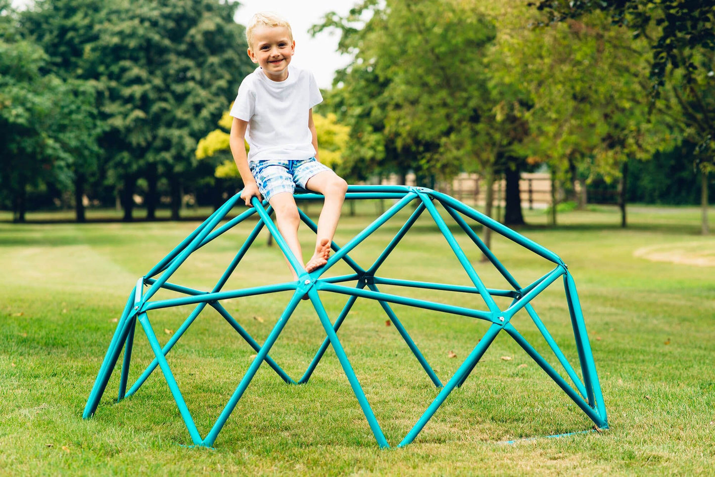 Plum Deimos Metal Climbing Dome – Teal